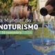 Dia Mundial do Enoturismo assinalado em parceria com a Rota do Alvarinho