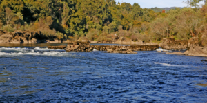 pesqueiras Rio Minho